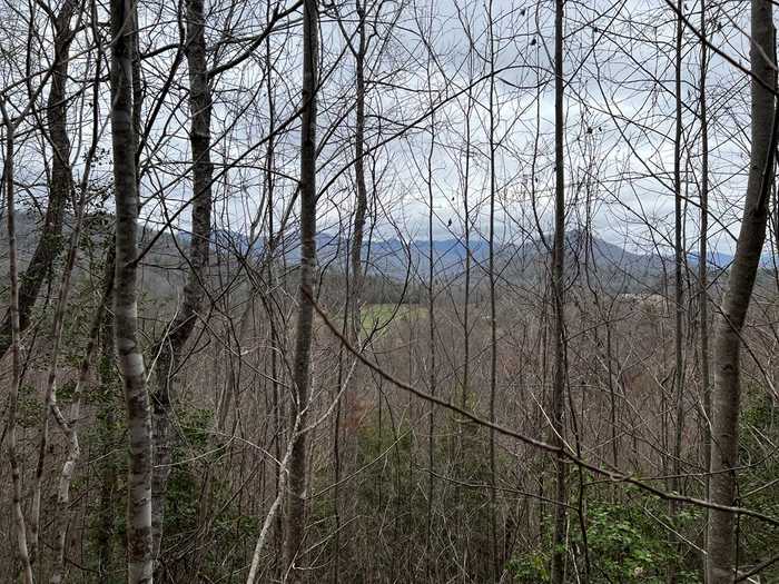 photo 2: Tom Wheeler Road, Hiawassee GA 30546