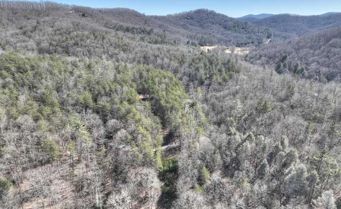 photo 1: 96 Acres Big Creek Road, Blue Ridge GA 30513