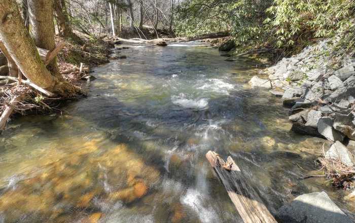 photo 2: 96 Acres Big Creek Road, Blue Ridge GA 30513