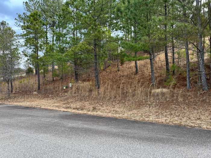 photo 1: Lot 39 Pinehurst, Blairsville GA 30512