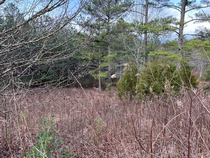 photo 26: Lot 39 Pinehurst, Blairsville GA 30512