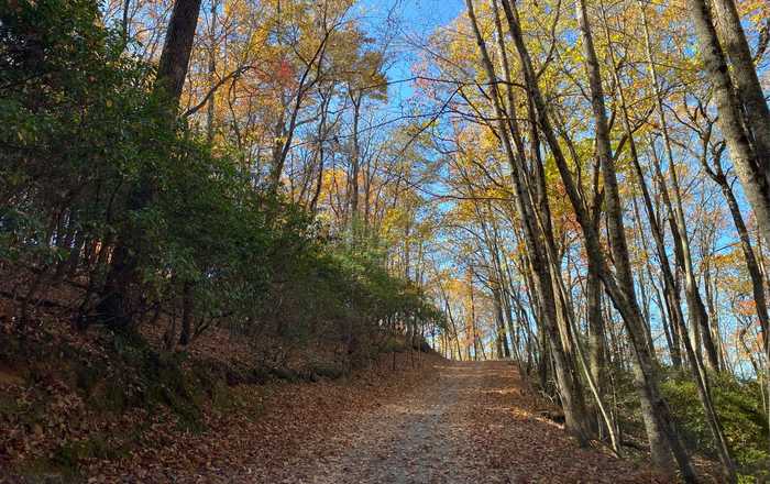 photo 1: Jagger Run, Blue Ridge GA 30513