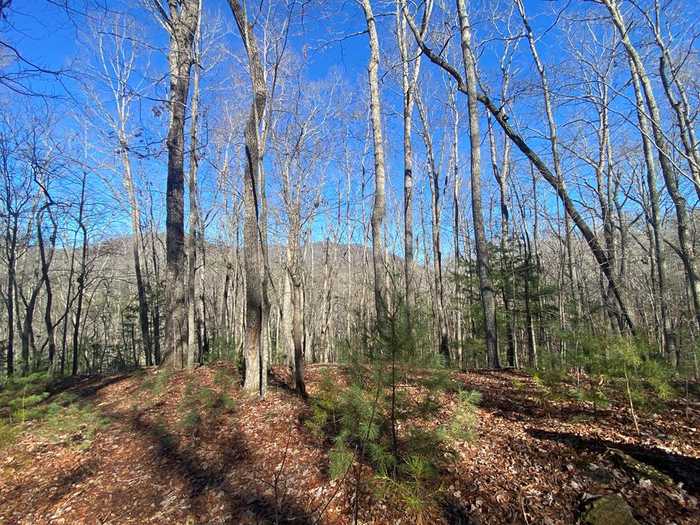 photo 1: 6.5 Acre Crab Apple Road, Blairsville GA 30512