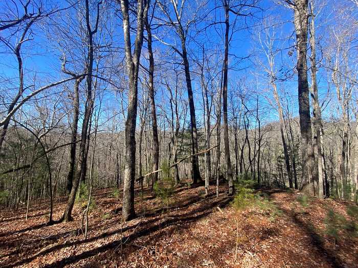 photo 2: 6.5 Acre Crab Apple Road, Blairsville GA 30512