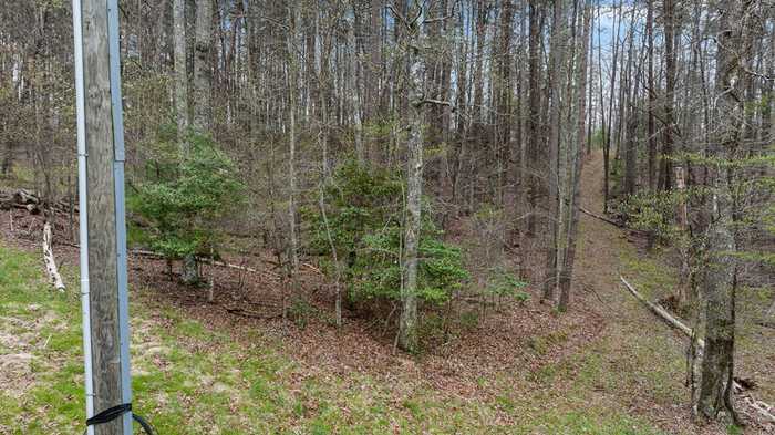 photo 3: Lot 1 Mustang Trail, Morganton GA 30560