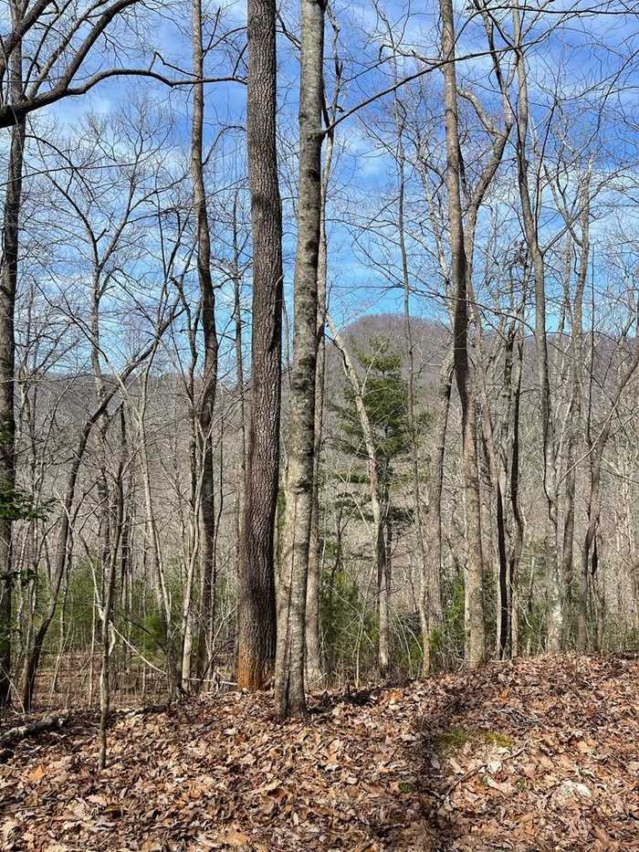 photo 1: LOT 6 Owl Creek Road, Hiawassee GA 30546