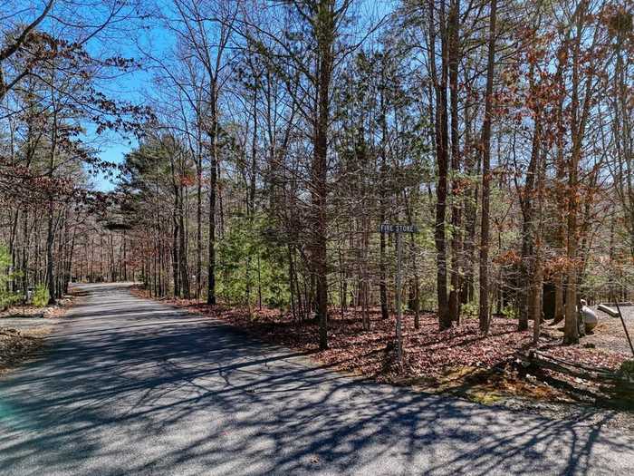 photo 1: Lot 20 Wrought Iron Trail, Morganton GA 30560