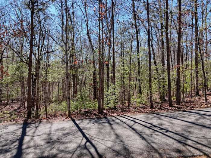 photo 17: Lot 20 Wrought Iron Trail, Morganton GA 30560