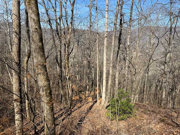 photo 1: Lot 8 Black Bear Trail, Hiawassee GA 30546