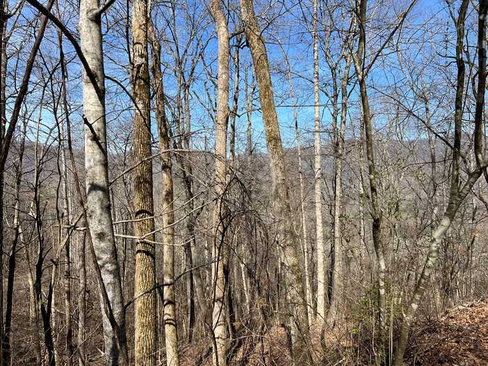 photo 18: Lot 8 Black Bear Trail, Hiawassee GA 30546