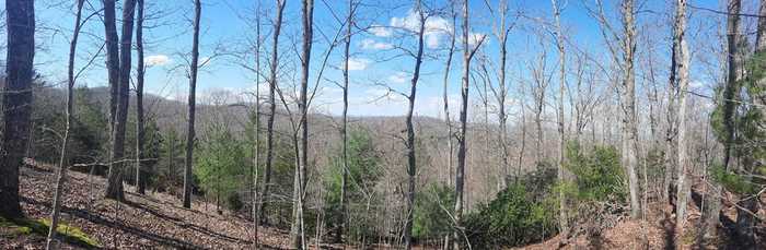 photo 1: Lot 38 Surles Ridge Lane, Blairsville GA 30512