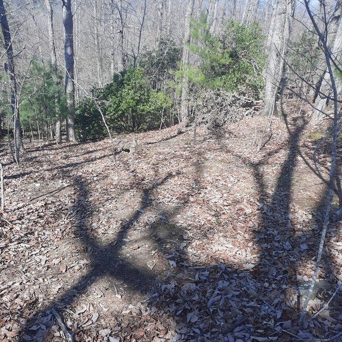 photo 13: Lot 38 Surles Ridge Lane, Blairsville GA 30512