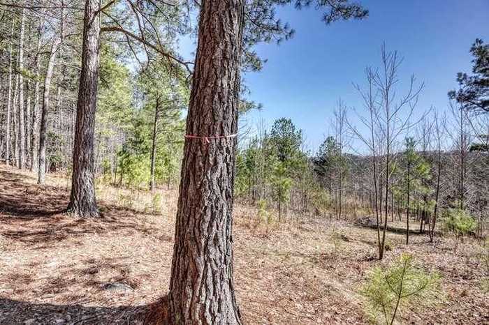 photo 1: Lot 161 Thirteen Hundred S/D, Blairsville GA 30512