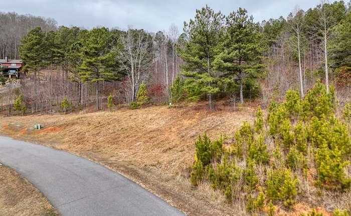 photo 2: Lot 161 Thirteen Hundred S/D, Blairsville GA 30512