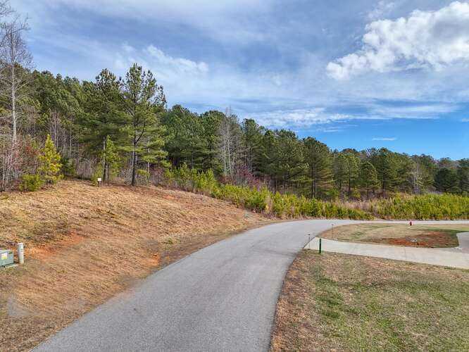 photo 3: Lot 161 Thirteen Hundred S/D, Blairsville GA 30512