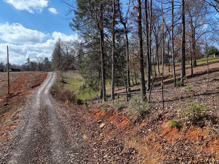 photo 44: B31-B33 Bent Wood Ln, Blue Ridge GA 30513