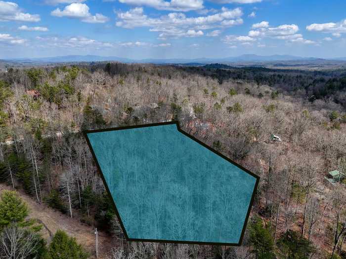 photo 1: 2.77 AC Mangums Trail, Blue Ridge GA 30513