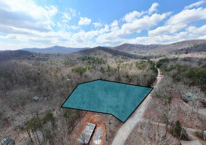 photo 16: 2.77 AC Mangums Trail, Blue Ridge GA 30513