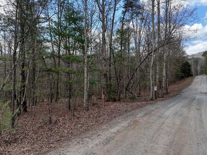 photo 2: 2.77 AC Mangums Trail, Blue Ridge GA 30513