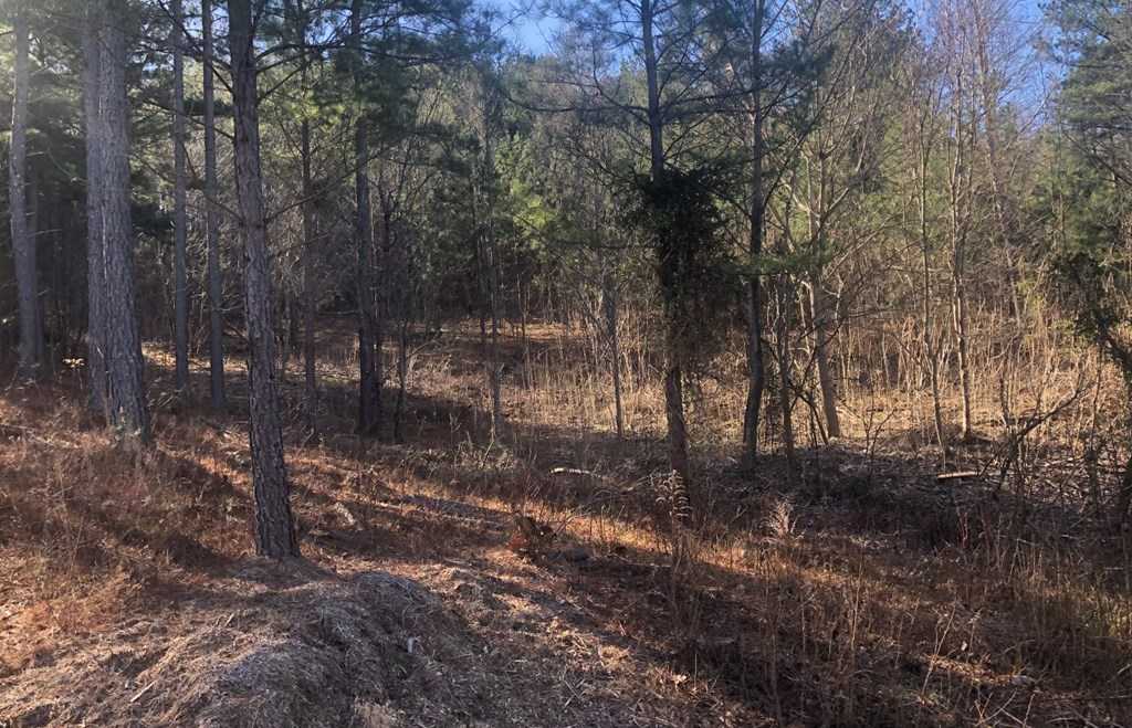 photo 2: lot 38 Loftis Mountain, Blairsville GA 30512