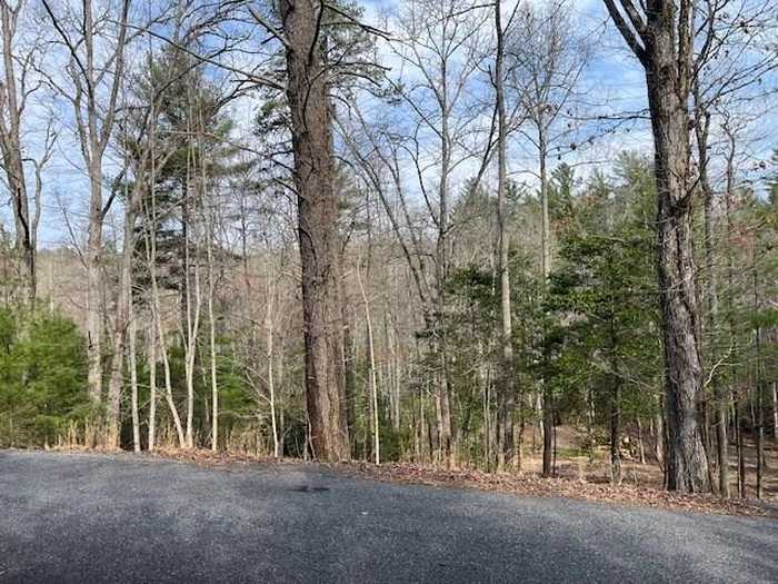 photo 1: Lot 10 Lower Fox Trail Road, Blairsville GA 30512