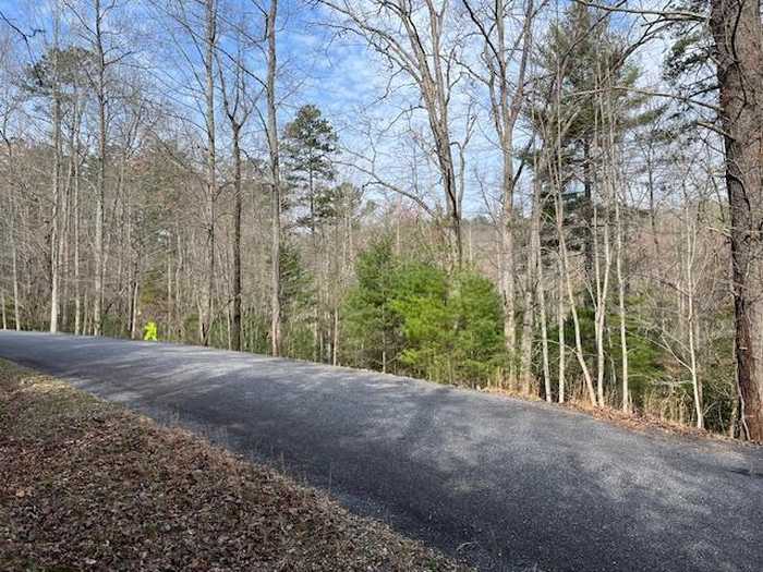 photo 2: Lot 10 Lower Fox Trail Road, Blairsville GA 30512