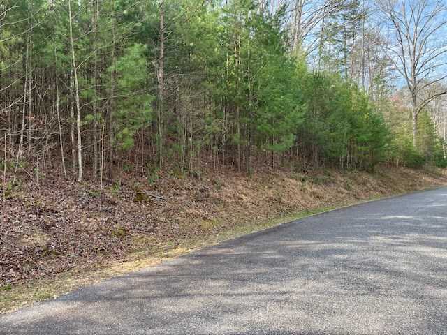 photo 3: Lot 10 Lower Fox Trail Road, Blairsville GA 30512