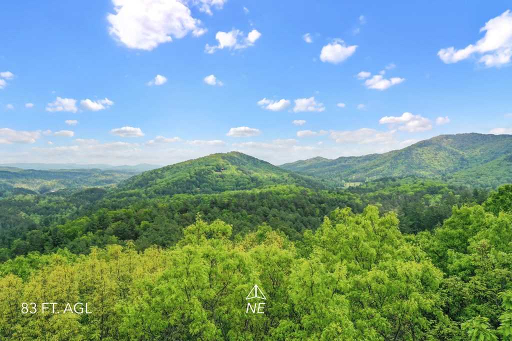 photo 3: Lot 32 Crockett Mountain, Cherry Log GA 30522