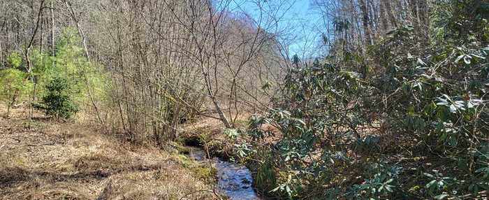 photo 1: Tract 2 Mull Rd, Blairsville GA 30512