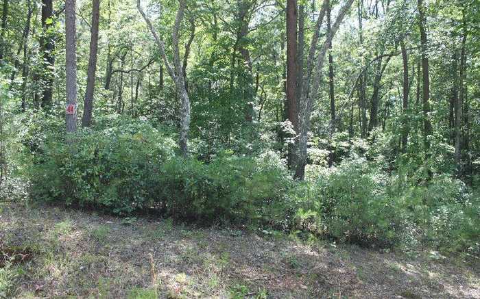 photo 1: Lot 44 Solitude Lane, Blairsville GA 30512