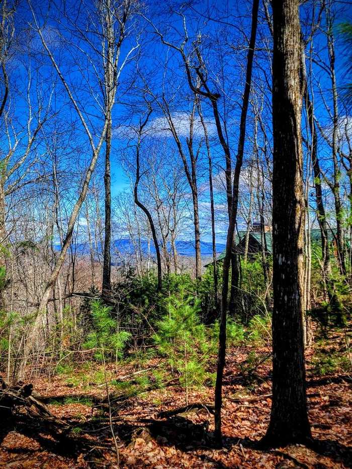 photo 1: 1.11 AC Mangums Trail, Blue Ridge GA 30513