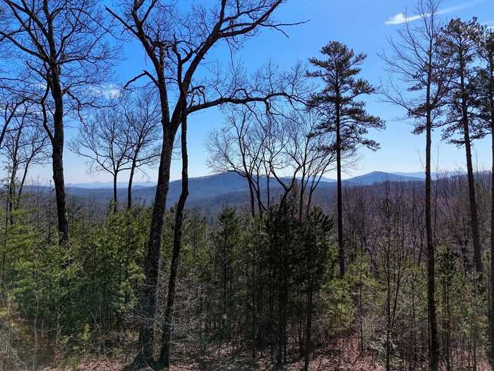 photo 2: 1.11 AC Mangums Trail, Blue Ridge GA 30513