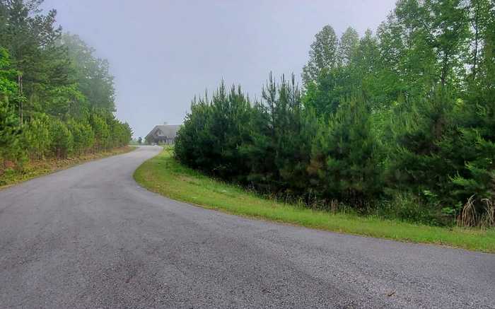 photo 2: 206,207 Lola Drive 5.88 Ac, Blairsville GA 30512