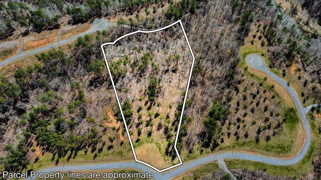 photo 1: Lot 196 Blalock Mountain Road, Ellijay GA 30540