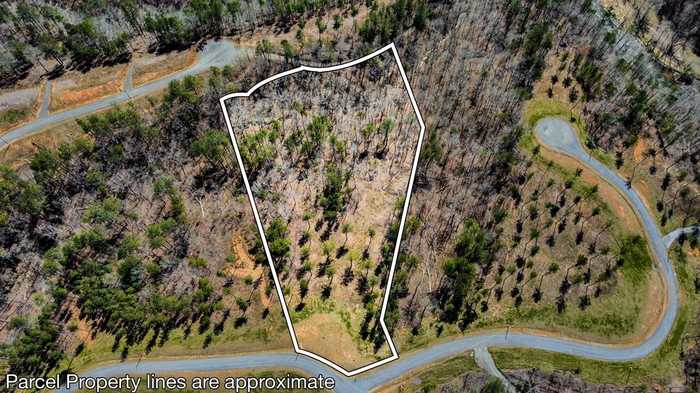 photo 1: Lot 196 Blalock Mountain Road, Ellijay GA 30540