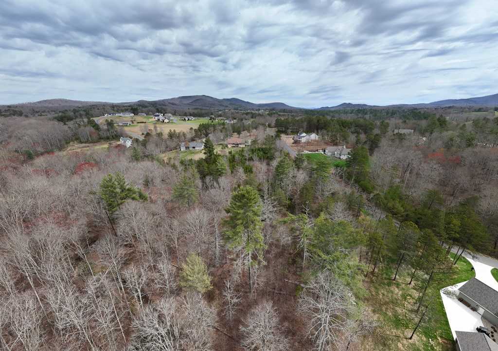 photo 3: Yonah Way, Blairsville GA 30512