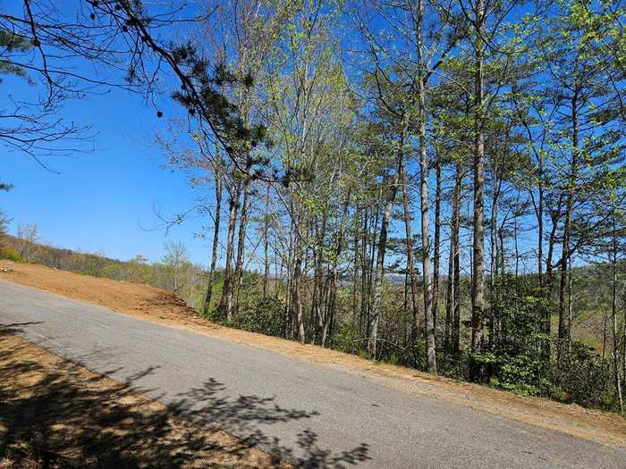 photo 2: 5.22 Deer Crest Road, Blue Ridge GA 30513