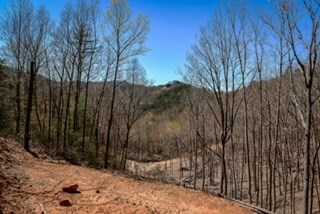 photo 3: Clearview Mountain, Blue Ridge GA 30513