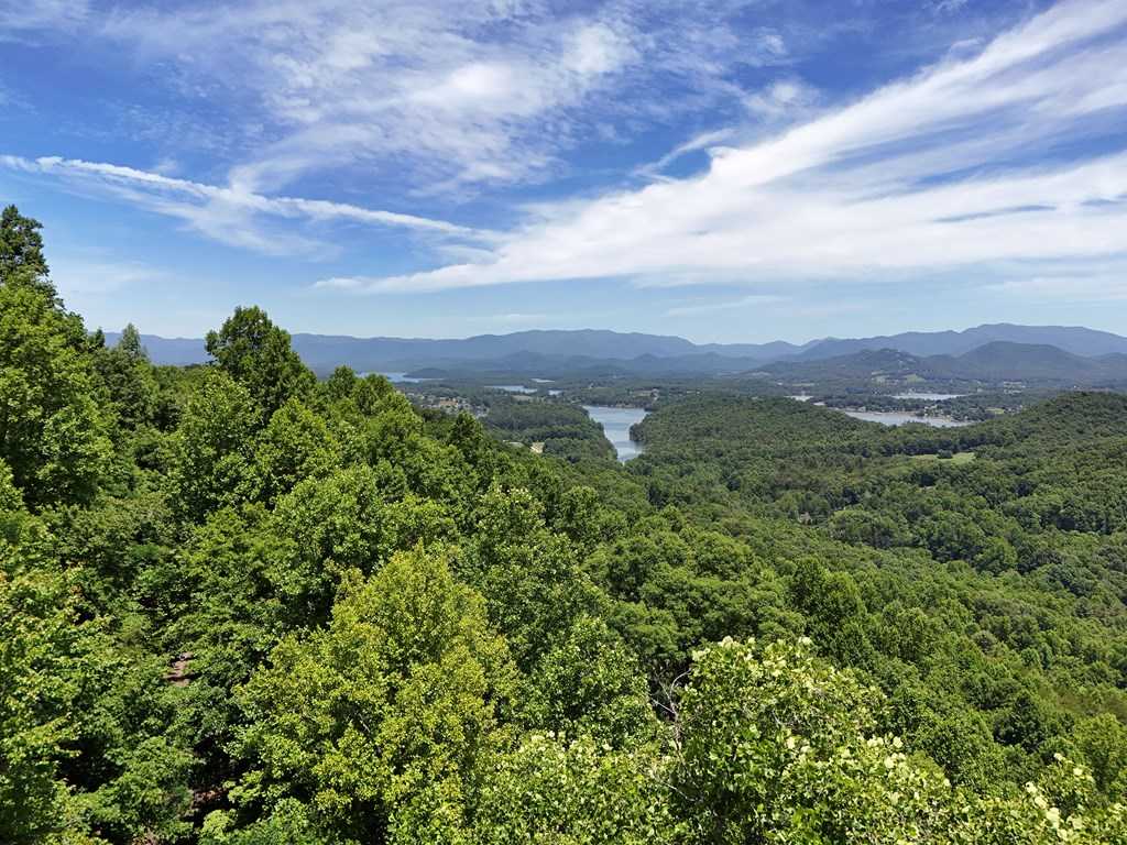 photo 3: Lot 30 Hidden Summit Road, Hiawassee GA 30548