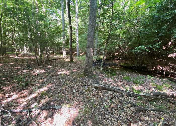 photo 1: LL322 Warnock Mountain Acres Lane, Blairsville GA 30512