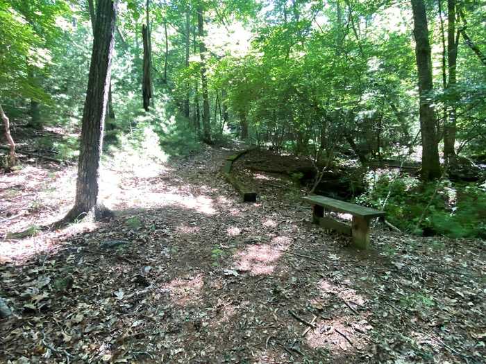 photo 47: LL322 Warnock Mountain Acres Lane, Blairsville GA 30512