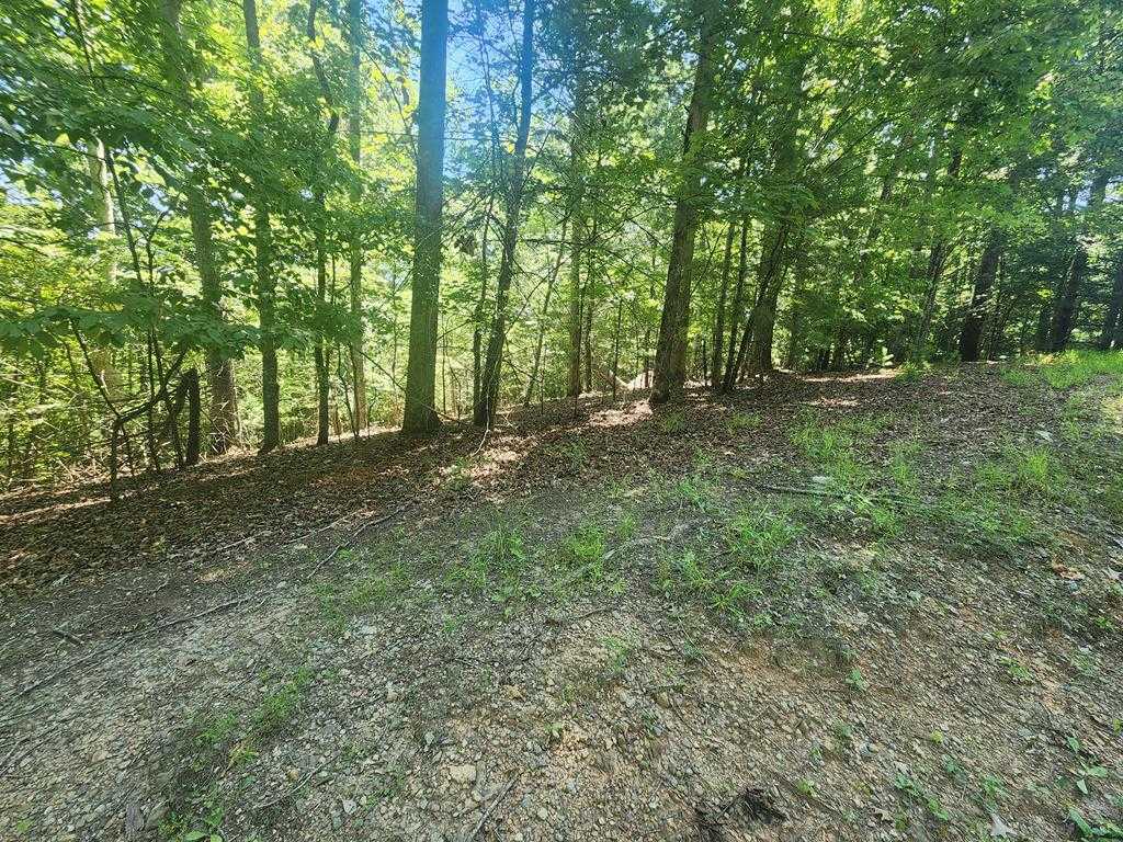 photo 1: Lot 3 Meadow View Drive, Morganton GA 30560