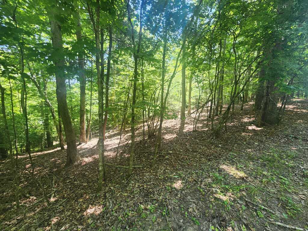 photo 3: Lot 3 Meadow View Drive, Morganton GA 30560