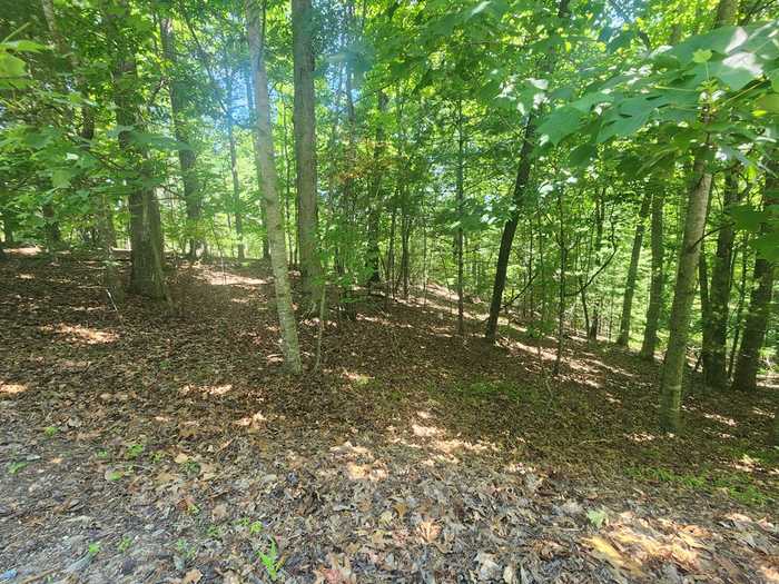 photo 6: Lot 3 Meadow View Drive, Morganton GA 30560