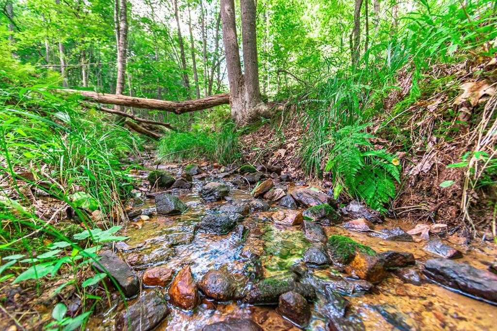 photo 1: Lot 22 Meadow Brook Trail, Morganton GA 30560