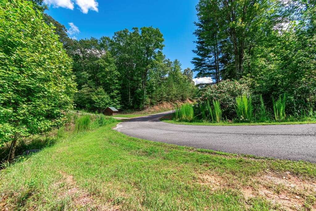 photo 3: Lot 22 Meadow Brook Trail, Morganton GA 30560