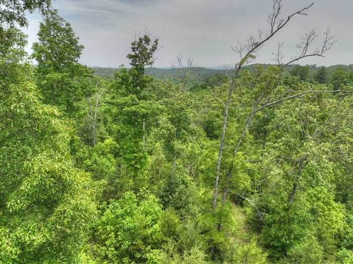 photo 13: LOT 1 Hidden Acres, Blue Ridge GA 30513