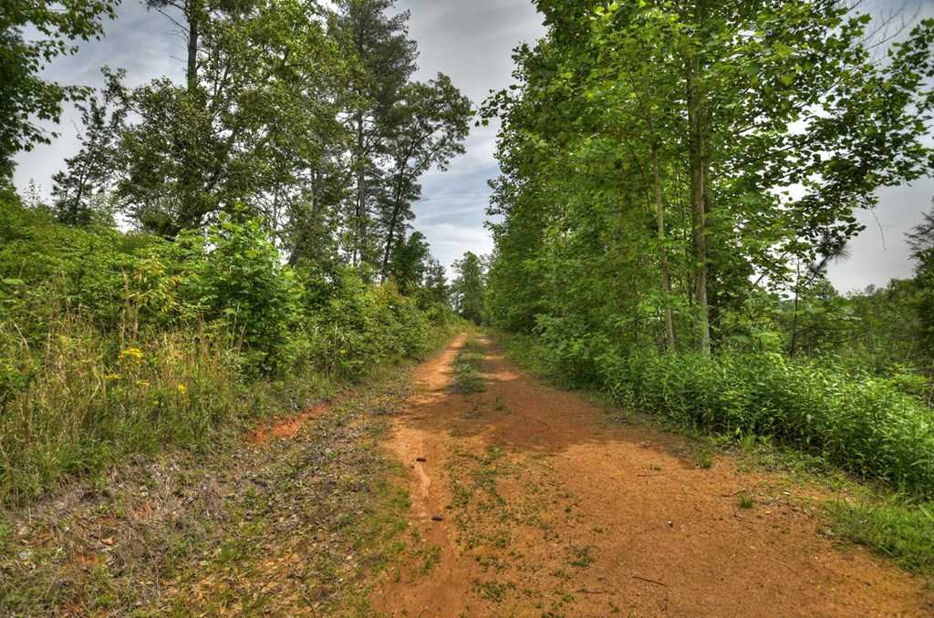 photo 2: LOT 1 Hidden Acres, Blue Ridge GA 30513