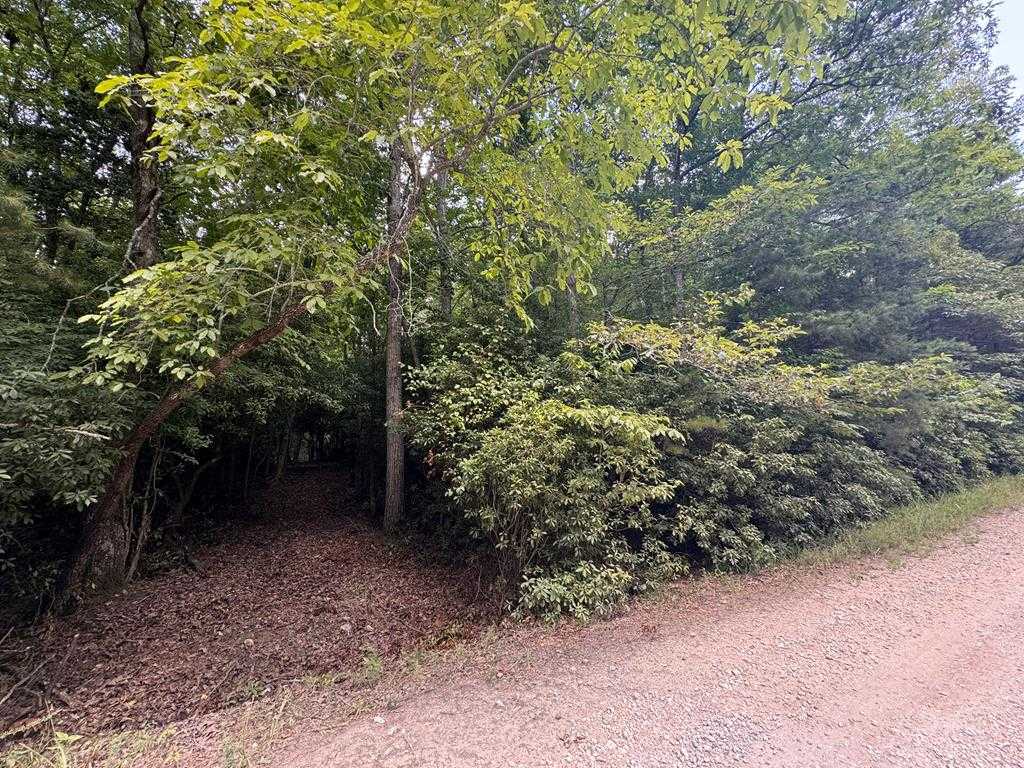 photo 1: lot 5 Goldmine Road, Morganton GA 30560