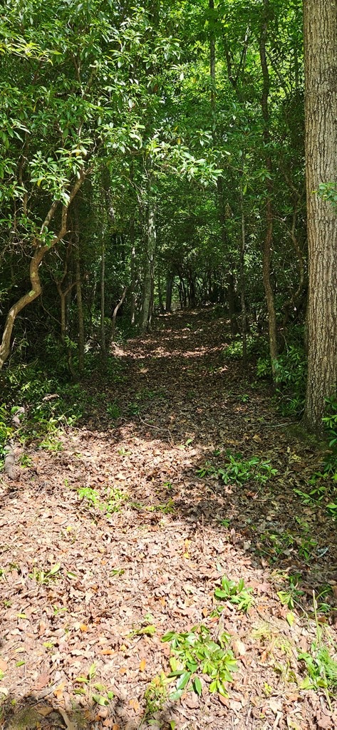 photo 2: lot 5 Goldmine Road, Morganton GA 30560